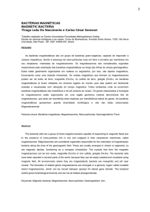 BACTÉRIAS MAGNÉTICAS MAGNETIC BACTERIA Thiago Leão Do