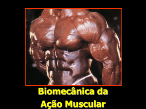 Biomecânica da Ação Muscular