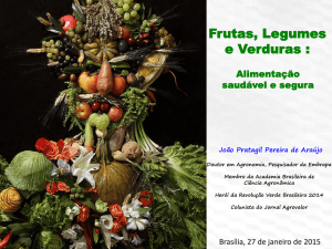 Frutas, Legumes e Verduras - alimenta&ccedil;&atilde;o saud&aacute;vel e