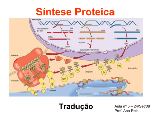 Síntese Proteica