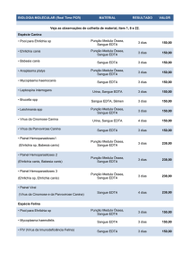 BIOLOGIA MOLECULAR (Real Time PCR) MATERIAL