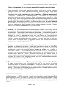 Síntese e degradação de derivados de aminoácidos com interesse