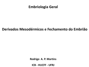 Embriologia Geral Derivados Mesodérmicos e