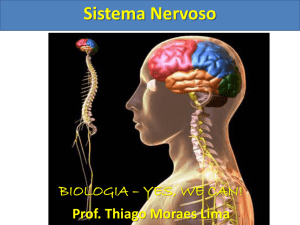 Apresenta&ccedil;&atilde;o do PowerPoint