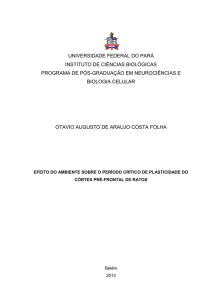 universidade federal do pará instituto de ciências biológicas