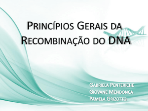 PRINCÍPIOS GERAIS DA RECOMBINAÇÃO DO DNA