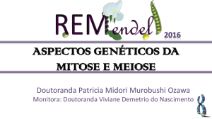 aspectos genéticos da mitose e meiose