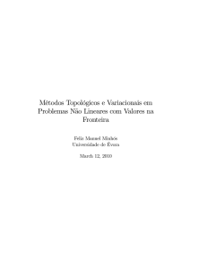 Métodos Topológicos e Variacionais em Problemas Não Lineares