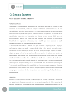 1 visão geral do sistema sensitivo