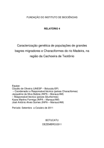 Caracterização genética de populações de grandes bagres