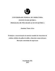 Janainne Nunes Alves Produção e caracterização de matrizes