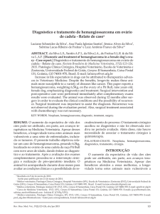 Diagnóstico e tratamento de hemangiossarcoma em ovário de