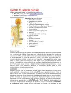 Apostila do Sistema Nervoso