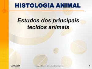 HISTOLOGIA ANIMAL Estudos dos principais tecidos animais