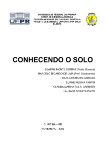 conhecendo o solo - projeto solo-planta