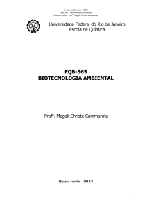 Biotecnologia Ambiental - Escola de Química / UFRJ