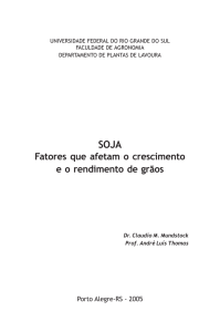 Fatores que afetam o crescimento e o rendimento de grãos