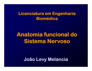 Anatomia funcional do Sistema Nervoso