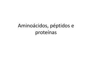 Aminoácidos, péptidos e proteínas Ficheiro - Moodle
