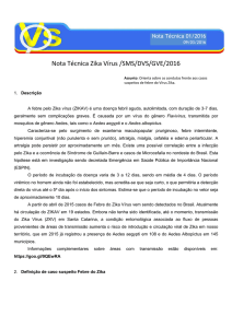 Nota Técnica Zika Vírus