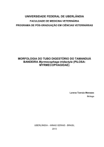 Lorena Tannus - Repositório Institucional