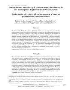 Profundidade de semeadura, pH, textura e manejo da