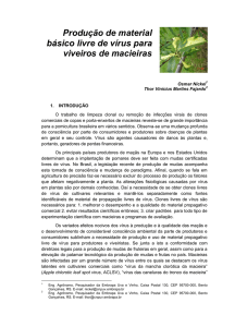 Produção de material básico livre de vírus para viveiros de macieiras