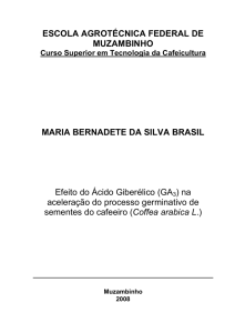 Efeito do GA3 na aceleração do processo germinativo de sementes