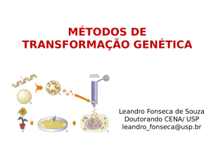 MÉTODOS DE TRANSFORMAÇÃO GENÉTICA