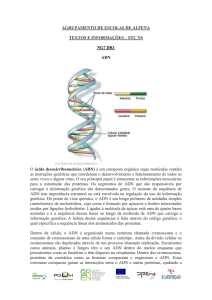 adn -5