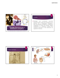 Fisiologia Neuromuscular e Metabolismo energético