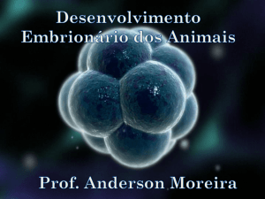 DESENVOLVIMENTO ANIMAL