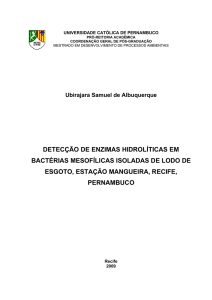 detecção de enzimas hidrolíticas em bactérias mesofílicas