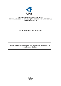 Controle de ovos de Aedes aegypti com Metarhizium - IPTSP