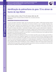 Identificacao do polimorfismo do gene TG no semen de