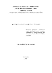PDF da dissertação