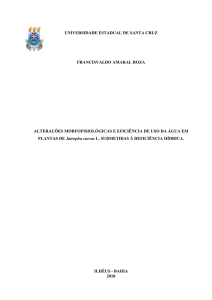 Alterações morfofisiológicas e eficiência de uso da água em plantas