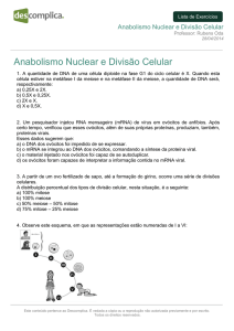 Anabolismo Nuclear e Divisão Celular