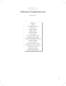 fisiologia cardiovascular