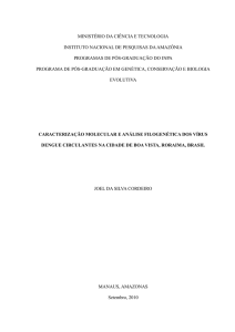 Caracterização molecular e análise filogenética dos vírus dengue