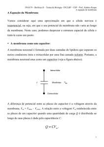 Equação de Membrana