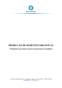 produção de sementes orgânicas - E-agro