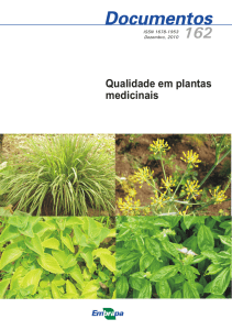 Qualidade em plantas medicinais