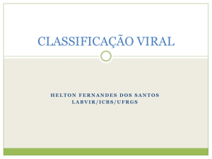 classificação viral