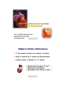 desenvolvimento do sistema cardiovascular - IBB