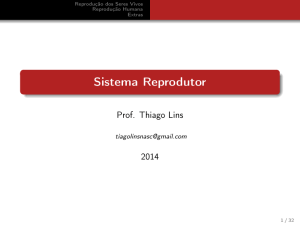 Sistema Reprodutor - Thiago Lins do Nascimento