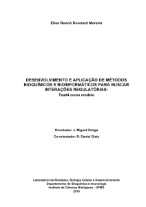 Elisa Rennó Donnard Moreira DESENVOLVIMENTO E APLICAÇÃO