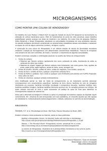 27 Microrganismos: como montar uma coluna de Winogradsky PDF