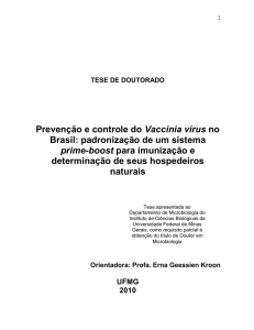 Prevenção e controle do Vaccinia virus no Brasil
