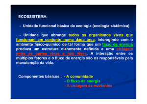 ECOSSISTEMA: - Unidade funcional básica da ecologia (ecologia